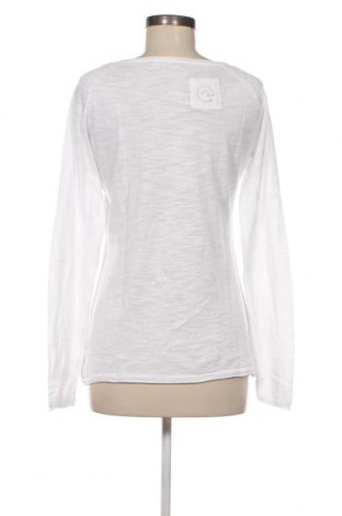 Γυναικείο πουλόβερ Blue Motion, Μέγεθος S, Χρώμα Λευκό, Τιμή 6,06 €