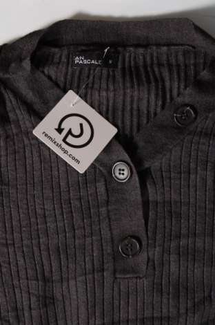 Γυναικείο πουλόβερ Jean Pascale, Μέγεθος M, Χρώμα Γκρί, Τιμή 3,77 €