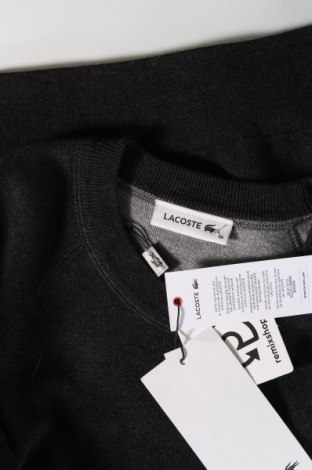 Γυναικείο πουλόβερ Lacoste, Μέγεθος S, Χρώμα Γκρί, Τιμή 63,09 €