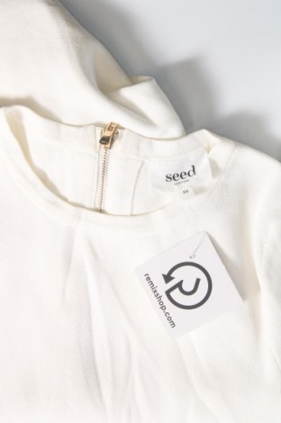 Γυναικείο πουλόβερ Seed, Μέγεθος XS, Χρώμα Λευκό, Τιμή 21,86 €