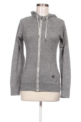 Damen Sweatshirt Big Star, Größe S, Farbe Grau, Preis 14,27 €
