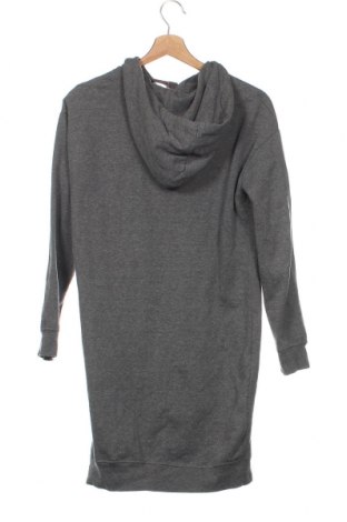 Damen Sweatshirt Bpc Bonprix Collection, Größe XXS, Farbe Grau, Preis 6,00 €