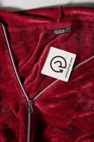 Damen Sweatshirt Janina, Größe L, Farbe Rot, Preis 10,90 €