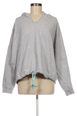 Damen Sweatshirt Kangaroos, Größe XL, Farbe Grau, Preis € 15,41