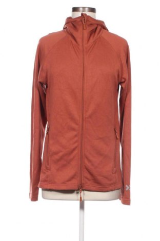 Damen Sweatshirt Lager 157, Größe S, Farbe Braun, Preis 5,05 €