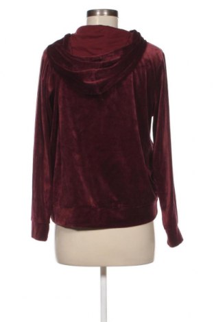 Damen Sweatshirt Tex, Größe L, Farbe Schwarz, Preis € 6,68
