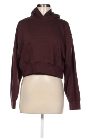 Damen Sweatshirt Zara, Größe L, Farbe Braun, Preis 5,29 €