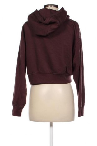 Damen Sweatshirt Zara, Größe L, Farbe Braun, Preis 5,85 €