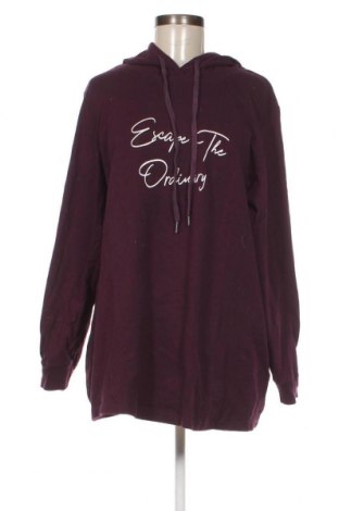 Damen Sweatshirt Zizzi, Größe L, Farbe Lila, Preis € 8,75