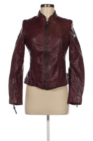Dámska kožená bunda  Alpenblitz, Veľkosť S, Farba Červená, Cena  220,76 €