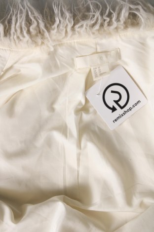 Γυναικείο παλτό H&M, Μέγεθος XS, Χρώμα Λευκό, Τιμή 31,77 €