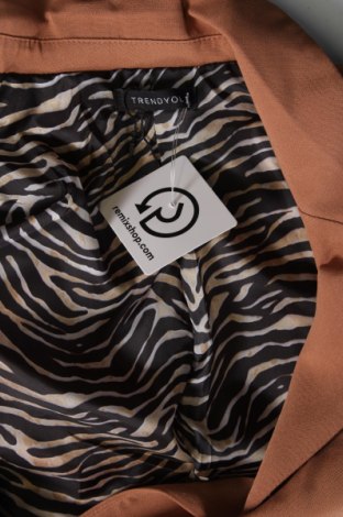 Γυναικείο σακάκι Trendyol, Μέγεθος M, Χρώμα Καφέ, Τιμή 24,72 €