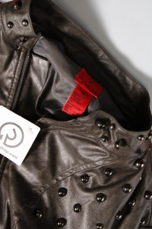 Γυναικείο μπουφάν Cristina, Μέγεθος XL, Χρώμα Γκρί, Τιμή 6,14 €