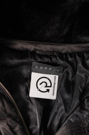 Damenjacke Esprit, Größe L, Farbe Schwarz, Preis € 29,75