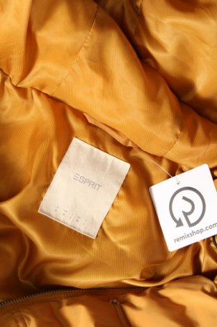 Dámská bunda  Esprit, Velikost M, Barva Oranžová, Cena  579,00 Kč