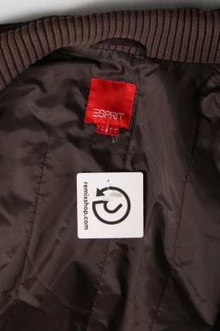 Γυναικείο μπουφάν Esprit, Μέγεθος L, Χρώμα Καφέ, Τιμή 6,83 €