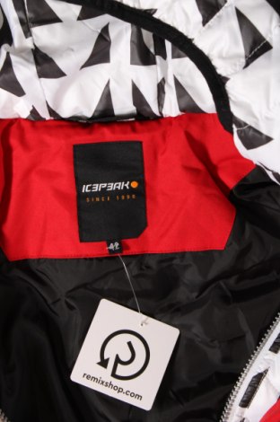 Dámska bunda pre zimné športy  Icepeak, Veľkosť L, Farba Červená, Cena  96,96 €
