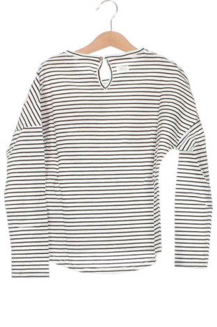 Kinder Shirt Catimini, Größe 7-8y/ 128-134 cm, Farbe Mehrfarbig, Preis 21,03 €