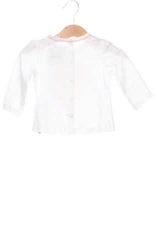 Dziecięca bluzka Du Pareil Au Meme, Rozmiar 6-9m/ 68-74 cm, Kolor Biały, Cena 27,35 zł