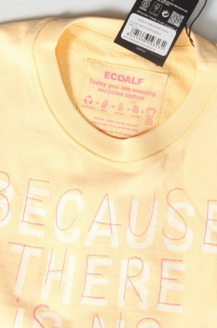 Kinder Shirt Ecoalf, Größe 13-14y/ 164-168 cm, Farbe Orange, Preis 20,60 €