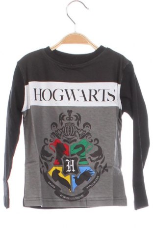 Детска блуза Harry Potter, Размер 18-24m/ 86-98 см, Цвят Многоцветен, Цена 11,75 лв.