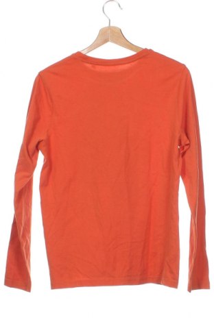 Детска блуза Here+There, Размер 15-18y/ 170-176 см, Цвят Оранжев, Цена 11,73 лв.