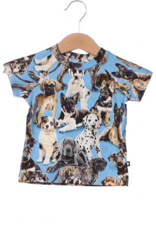 Kinder Shirt Molo, Größe 2-3m/ 56-62 cm, Farbe Mehrfarbig, Preis 12,27 €