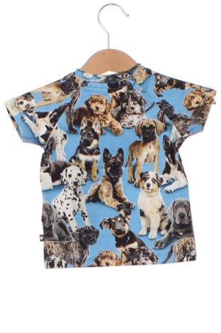 Kinder Shirt Molo, Größe 2-3m/ 56-62 cm, Farbe Mehrfarbig, Preis € 12,27