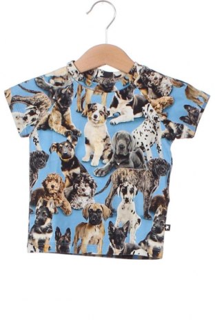 Kinder Shirt Molo, Größe 3-6m/ 62-68 cm, Farbe Mehrfarbig, Preis € 15,77