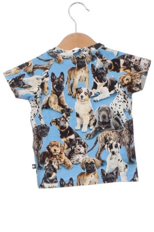 Kinder Shirt Molo, Größe 3-6m/ 62-68 cm, Farbe Mehrfarbig, Preis 18,93 €