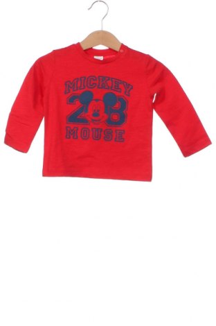Детска блуза Oviesse, Размер 9-12m/ 74-80 см, Цвят Червен, Цена 12,78 лв.