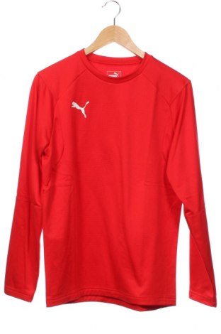 Kinder Shirt PUMA, Größe 15-18y/ 170-176 cm, Farbe Rot, Preis € 9,60