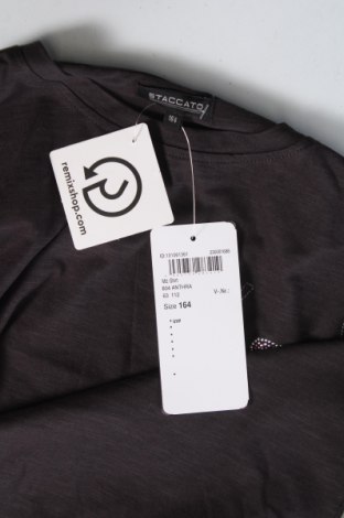 Kinder Shirt Staccato, Größe 12-13y/ 158-164 cm, Farbe Grau, Preis € 6,78