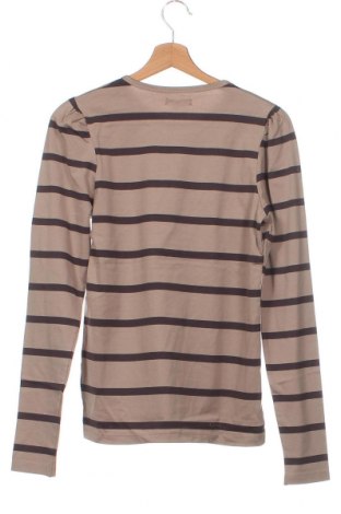 Kinder Shirt Staccato, Größe 15-18y/ 170-176 cm, Farbe Braun, Preis € 5,09