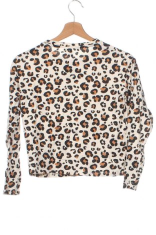 Детска блуза Zara, Размер 11-12y/ 152-158 см, Цвят Бежов, Цена 14,00 лв.