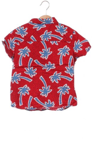 Παιδικό πουκάμισο Du Pareil Au Meme, Μέγεθος 5-6y/ 116-122 εκ., Χρώμα Πολύχρωμο, Τιμή 6,00 €