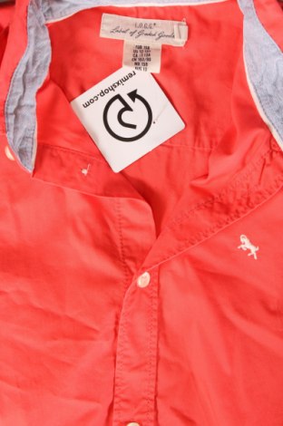 Kinderhemd H&M L.O.G.G., Größe 12-13y/ 158-164 cm, Farbe Rot, Preis € 6,64