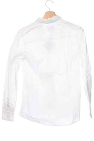 Dziecięca koszula Pepe Jeans, Rozmiar 13-14y/ 164-168 cm, Kolor Biały, Cena 97,88 zł