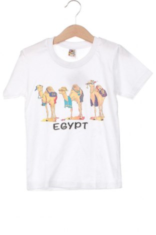 Kinder T-Shirt, Größe 5-6y/ 116-122 cm, Farbe Weiß, Preis 3,61 €