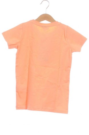 Tricou pentru copii Bruuns Bazaar, Mărime 4-5y/ 110-116 cm, Culoare Portocaliu, Preț 72,47 Lei
