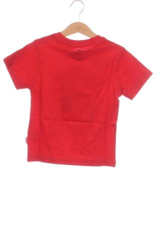 Παιδικό μπλουζάκι Lee Cooper, Μέγεθος 3-4y/ 104-110 εκ., Χρώμα Κόκκινο, Τιμή 15,98 €