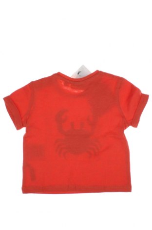 Παιδικό μπλουζάκι Noa Noa, Μέγεθος 2-3m/ 56-62 εκ., Χρώμα Πορτοκαλί, Τιμή 7,27 €