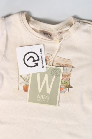 Dětské tričko  Wheat, Velikost 12-18m/ 80-86 cm, Barva Krémová, Cena  202,00 Kč
