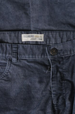 Pantaloni de catifea reiată, pentru copii, Mărime 12-13y/ 158-164 cm, Culoare Albastru, Preț 35,23 Lei
