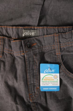 Детски джинси Alive, Размер 13-14y/ 164-168 см, Цвят Сив, Цена 12,81 лв.