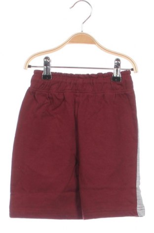 Pantaloni scurți pentru copii Lee Cooper, Mărime 3-4y/ 104-110 cm, Culoare Roșu, Preț 134,21 Lei