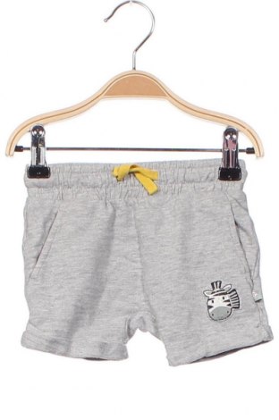 Kinder Shorts Liegelind, Größe 3-6m/ 62-68 cm, Farbe Grau, Preis 3,99 €