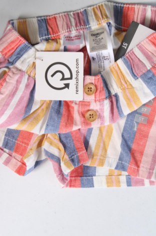 Kinder Shorts Oshkosh, Größe 4-5y/ 110-116 cm, Farbe Mehrfarbig, Preis € 11,34