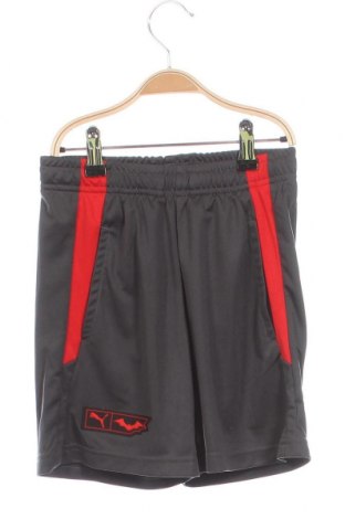 Pantaloni scurți pentru copii PUMA, Mărime 9-10y/ 140-146 cm, Culoare Gri, Preț 82,10 Lei