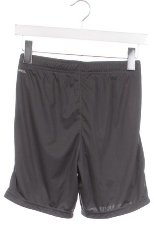 Kinder Shorts PUMA, Größe 13-14y/ 164-168 cm, Farbe Grau, Preis 14,47 €